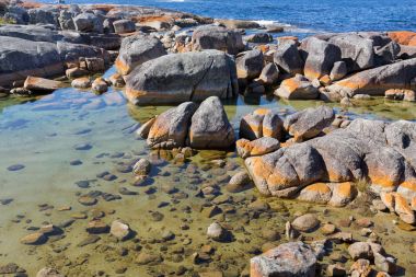 Bay harekete geçirilir. Turkuaz suları ile turuncu liken Granit kayalar, Tazmanya üzerinde büyüyen