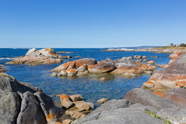 Bay of Fires. Turquoise waters with orange lichen growing on granite rocks, Tasmania — Stock Photo, Image