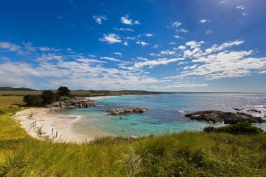 Bay ateş Tasmania içinde. Beyaz kum plaj Tasmania güzel doğal manzaralı