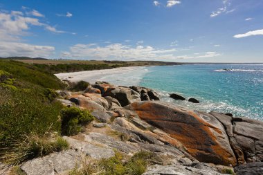 Bay ateş Tasmania içinde. Beyaz kum plaj Tasmania güzel doğal manzaralı