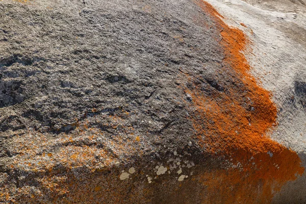 Closeup de líquen laranja vermelho crescendo em formações rochas de granito — Fotografia de Stock