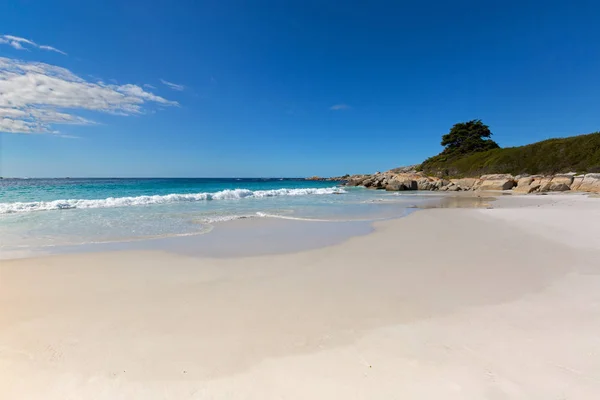 Bay ateş Tasmania içinde. Beyaz kum plaj Tasmania güzel doğal manzaralı — Stok fotoğraf