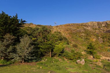 Çift Kişilik koltuklar telesiyej Stanley kasabadan somun devlet rezerv, Tazmanya tepesine binmek.