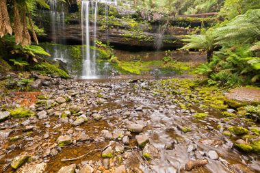 Russell Falls, tieredcascade şelale ile yeşil yosun kaplı taş