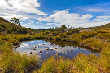 Mavi gökyüzü ve bulutlar bir su birikintisi yakın güvercin Gölü, Tasmanya su yüzeyinde yansıtan