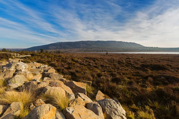 Kamień, wegetacje rośnie w Pine Lake z boku Highland jezior Road, Tasmania — Zdjęcie stockowe