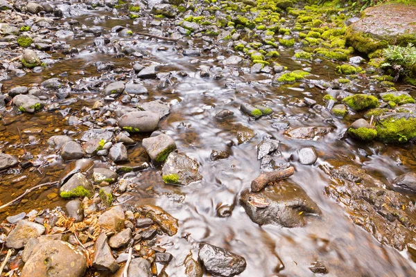 Russell Falls vattenfall med sten täckt med grön mossa på Mount field, Tasmanien — Stockfoto