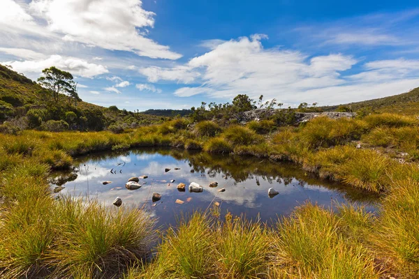 Błękitne niebo i chmury, zastanawiając się nad powierzchnię wody stawu w pobliżu jeziora Dove, Tasmania — Zdjęcie stockowe