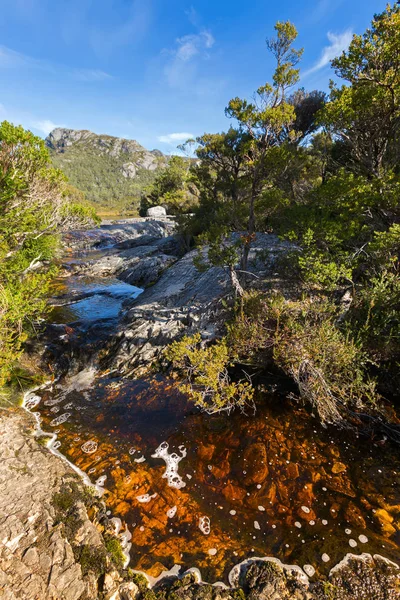 Naturalny strumień wody działa poprzez rock bazaltu wulkanicznego jeziora Lilla, Tasmania — Zdjęcie stockowe
