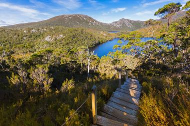 Cradle Mountain merdiven. Doğa iz yükseltilmiş ahşap merdivenlerinde güvercin Gölü, Tasmania için