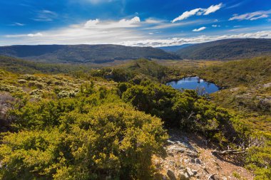 Cradle Mountain, Lake St Clair, Tasmanya yeşil dağlarla çevrili wombat Havuzu