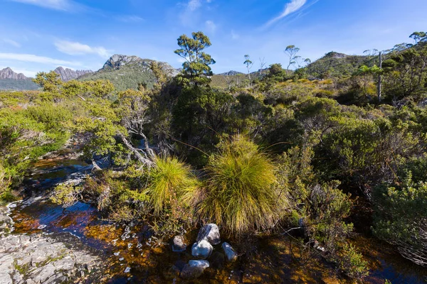 Naturalny strumień wody działa poprzez rock bazaltu wulkanicznego jeziora Lilla, Tasmania — Zdjęcie stockowe