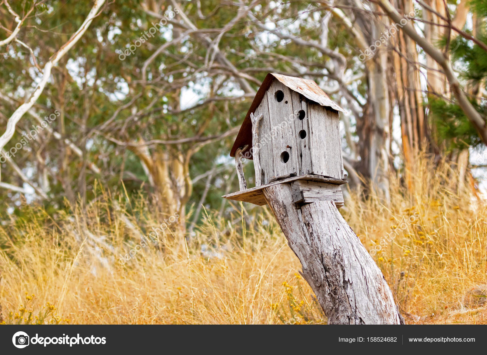 Tree Stump Bird Feeder Simple Wooden Bird House On Top Of Tree