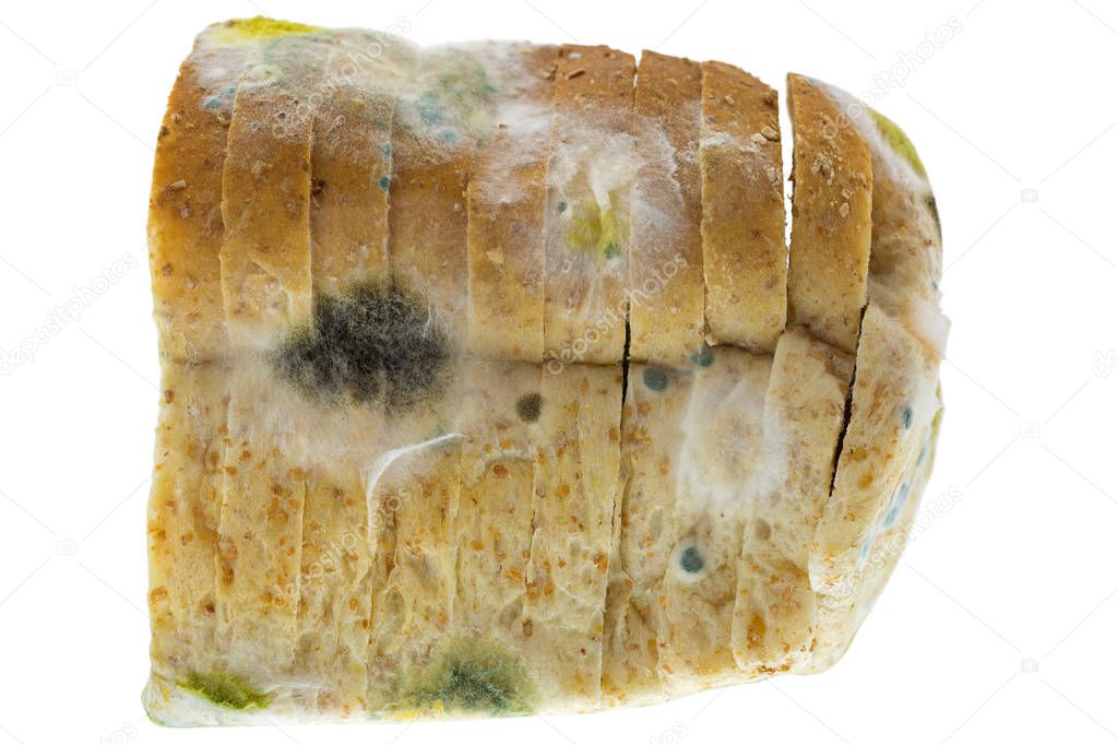 Black yellow blue molds on molded old wholewheat bread isolated on white