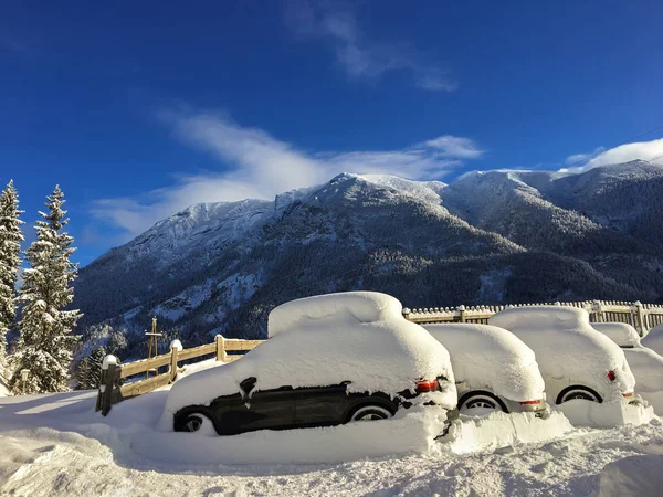 Snow covering pine trees, cars parking at parking lots with snowy mountain and blue sky