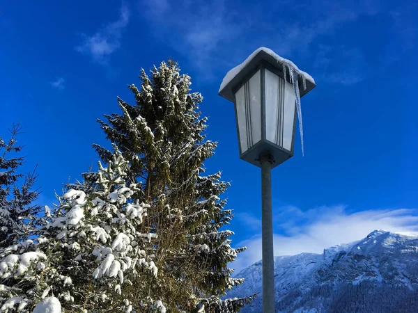 Dlouhý rampouch na pouliční lampa vedle borovice zahrnuty rozmazané zasněžené hory a modrá obloha — Stock fotografie