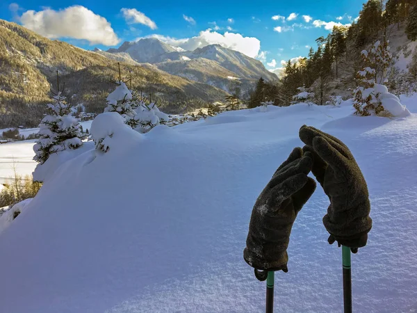 Szare grube zimowe rękawice na trekkingowe kijki turystyczne na świeżym śniegu — Zdjęcie stockowe