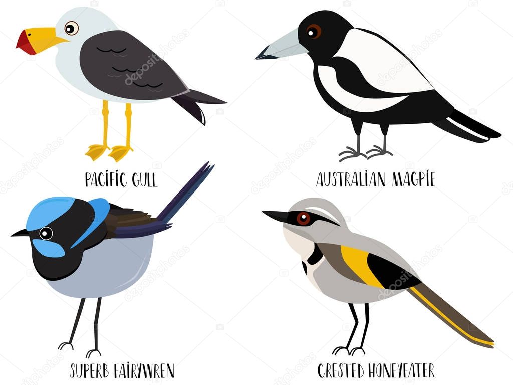 Vector illustration of cute bird cartoons - Pacific gull, Australian Magpie, superb fairywren, crested honeyeater