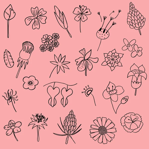 Vektor Illustration Set von Hand gezeichnet Blume Blatt Doodle als florale Elemente — Stockvektor