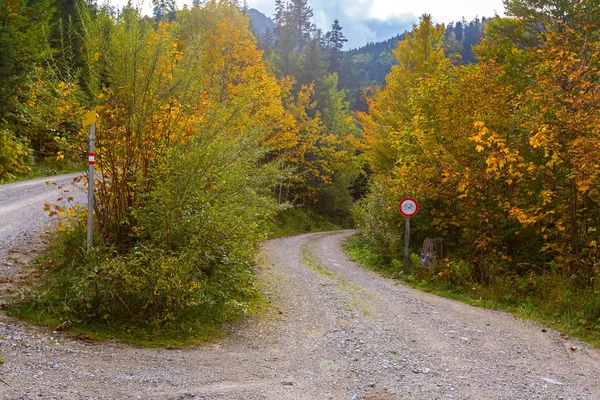 Hiçbir bisiklet, Bisiklet yasak işareti ormandaki ile yürüme yürüyüş yolu — Stok fotoğraf