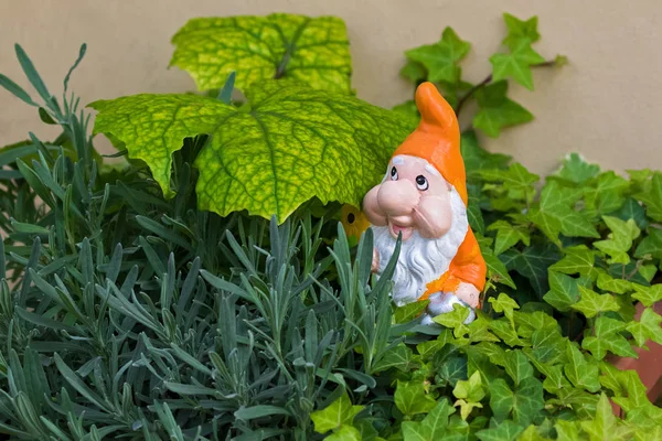 Enano de gnomo de jardín con barba blanca, sombrero puntiagudo naranja en una olla de hiedra — Foto de Stock