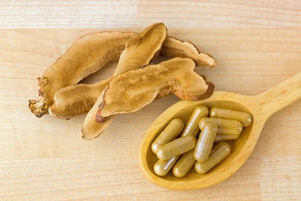 Herbal Lingzhi medicine in capsule next to sliced dried Reishi. — Stock Photo, Image