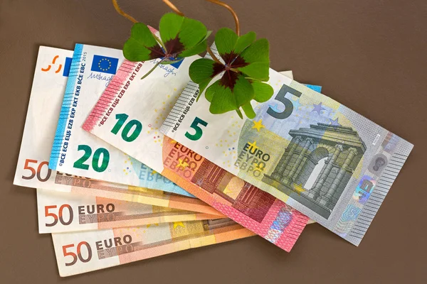 Glücksklee auf Euro-Banknotengeld. Vierblättriger Sauerampfer mit 4 behaarten Blättern — Stockfoto