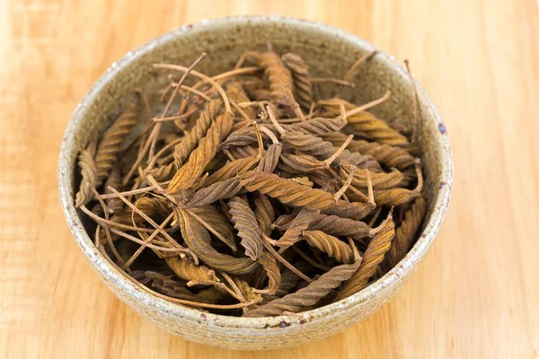 Dried brown fruit of Indian screw tree, compound twisted pod — Stock Photo, Image