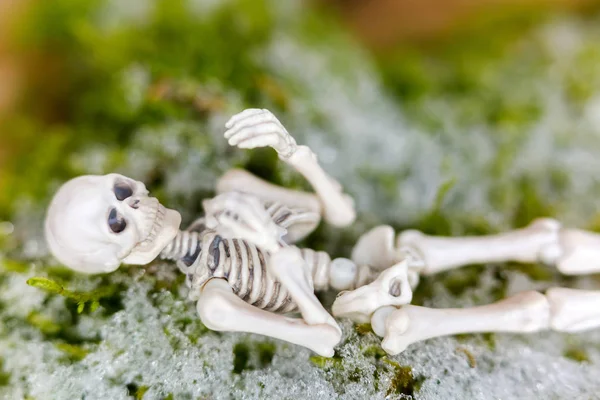 Scheletro bianco osso del corpo morto poggia sul muschio con la neve durante l'inverno — Foto Stock