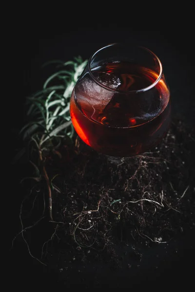 Coquetel alcoólico no fundo escuro e mal-humorado — Fotografia de Stock