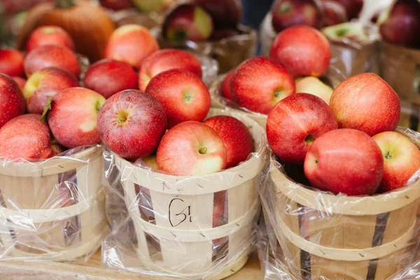 Manzanas rojas maduras recién recogidas en cestas — Foto de Stock