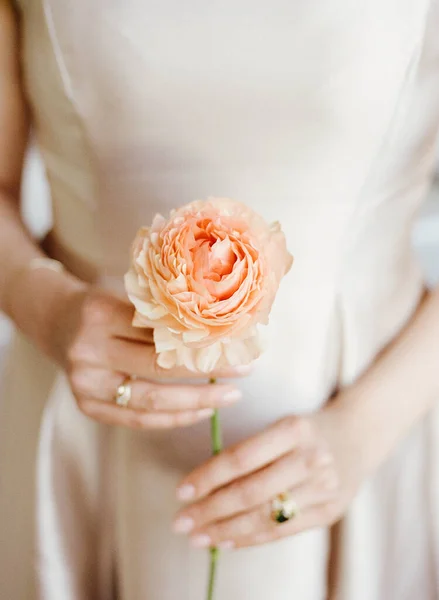 Primer Plano Una Hermosa Flor Solitaria Las Manos —  Fotos de Stock