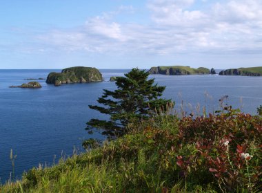 Pacific coast of Shikotan island clipart