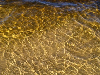 Güneş ışığında nehir suyu