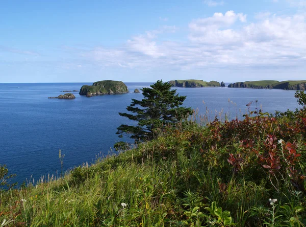 Oceanic Bay Shikotan Island — Stock Photo, Image