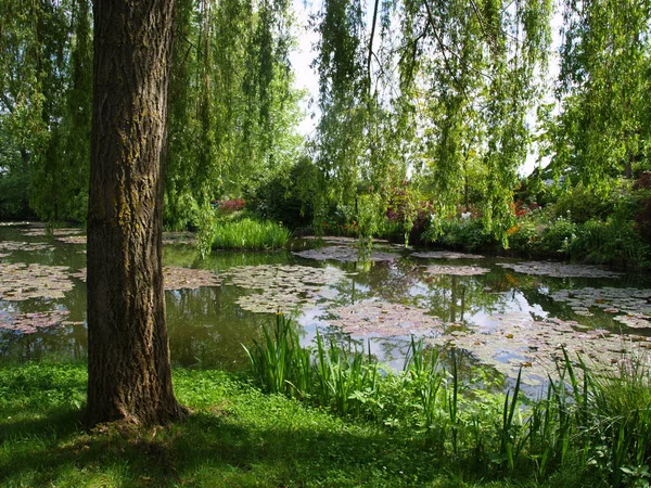Claude Monet\'s Garden (Giverny, France)