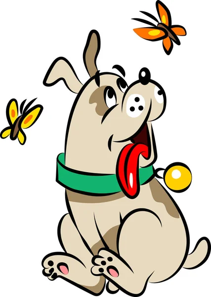 Köpek kelebekler görür.