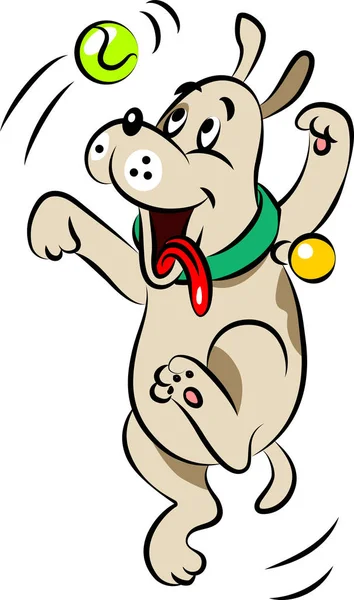 Köpek top için zıplar.