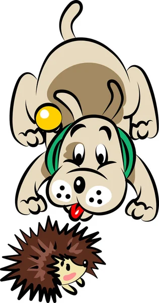 Komik köpek bir kirpi görmüş.