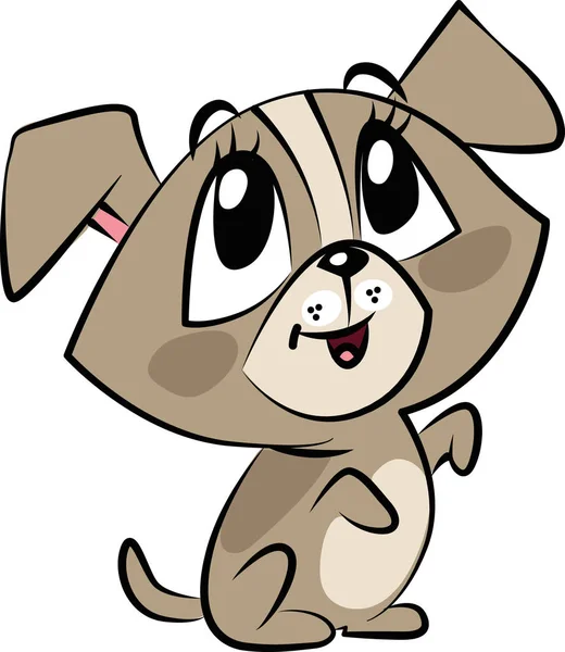 Büyük gözlü, küçük sevimli bir köpek.