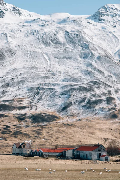 İzlanda'da bir dağın önünde küçük bir ev