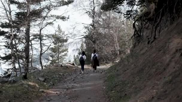 Two girls climb a mountain through a pine forest along a rocky road — Stockvideo