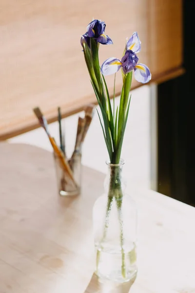 irises close-up in a room near the window
