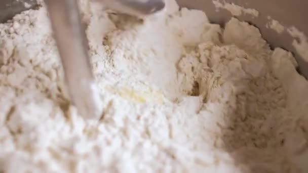 Mixer mixes eggs with flour in a factory — Stock video