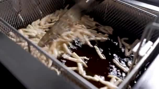 Fryer with French fries, close-up. The oil boils — Stock Video