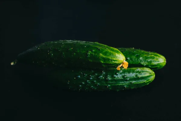 Siyah arka planda salatalıklar. Üç salatalık. — Stok fotoğraf