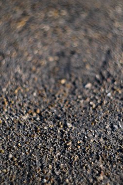 Plaj çakılı arka planda gri dokuda filizlenir Soyutlama 