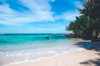 Gökyüzü parlak bir günde ile güzel bir plaj.