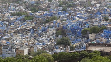 Mavi Oda Rajasthan Jodhpur 