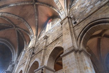 Tarihi Katedrali Sankt Peter Bamberg Bavyera